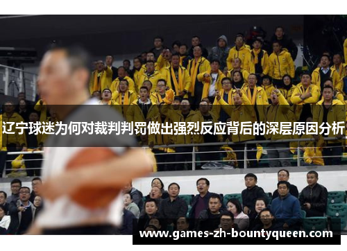 辽宁球迷为何对裁判判罚做出强烈反应背后的深层原因分析